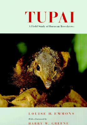 Tupai: A Field Study of Bornean Treeshrews (Organisms and Environments)
