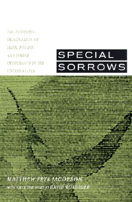 Special Sorrows: The Diasporic Imagination of Irish, Polish, and Jewish Immigrants in the United States