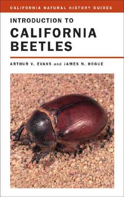 Introduction to California Beetles (California Natural History Guides)