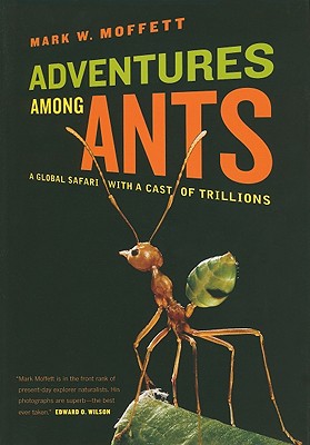 Image for Adventures Among Ants: A Global Safari with a Cast of Trillions