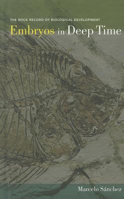 Embryos in Deep Time: The Rock Record of Biological Development