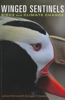Winged Sentinels: Birds and Climate Change