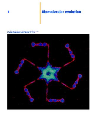 Human Molecular Biology: An Introduction to the Molecular Basis of Health and Disease Epstein, Richard J.