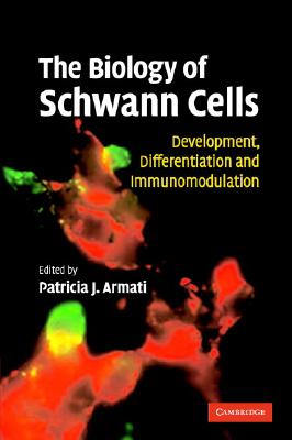 The Biology of Schwann Cells: Development, Differentiation and Immunomodulation