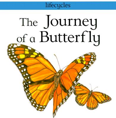 The Journey of a Butterfly (Lifecycles)