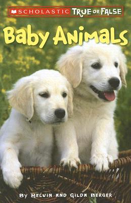 Image for Baby Animals (Scholastic True or False) (1)