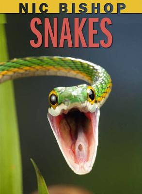 Image for Nic Bishop: Snakes Nic Bishop: Snakes