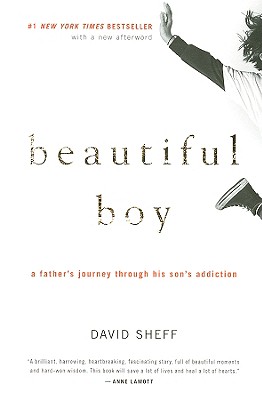 Beautiful Boy: A Father's Journey Through His Son's Addiction