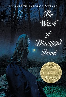 Image for The Witch of Blackbird Pond