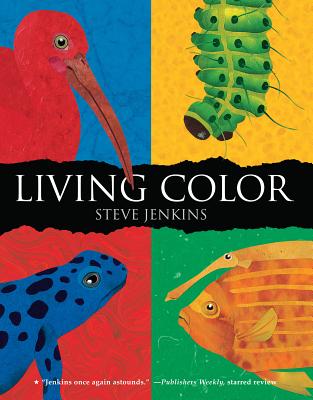 Image for Living Color Living Color
