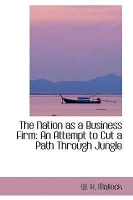 The Nation As a Business Firm: An Attempt to Cut a Path Through Jungle