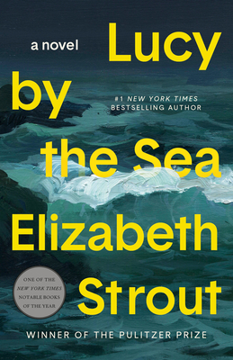Lucy by the Sea: A Novel