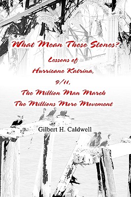 What Mean These Stones: Lessons of Hurricane Katrina, 9/11, The Million Man March The Millions More Movement