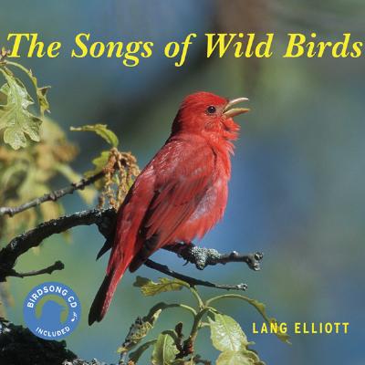Songs of Wild Birds [With CD(Audio)]