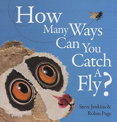 How Many Ways Can You Catch a Fly