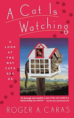 Image for CAT IS WATCHING