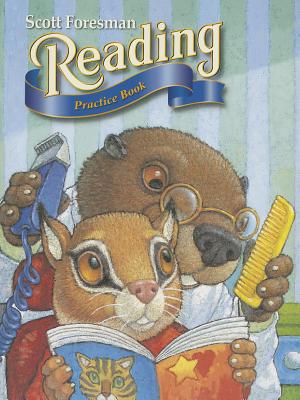 READING 2000 PRACTICE BOOK WITH SELECTION TESTS GRADE 2.1