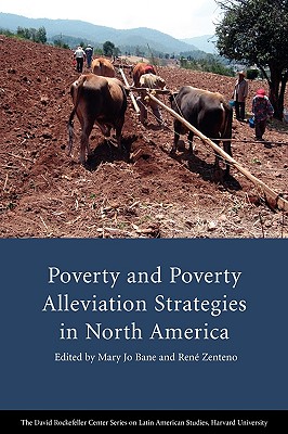 Poverty and Poverty Alleviation Strategies in North America (Series on Latin American Studies)