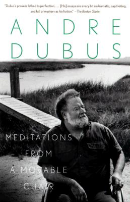 Image for Meditations from a Movable Chair