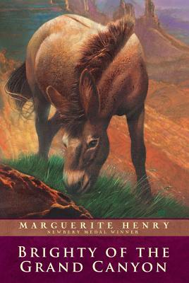 Image for Brighty of the Grand Canyon (Marguerite Henry Horseshoe Library)