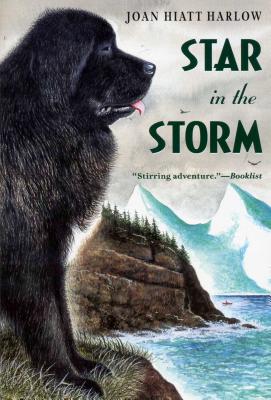 Image for Star in the Storm