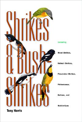 Shrikes and Bush-Shrikes