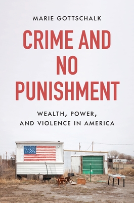 Crime and No Punishment: Wealth, Power, and Violence in America