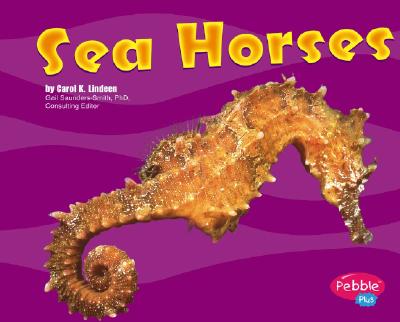 Image for Sea Horses (Pebble Plus) Sea Horses (Pebble Plus)