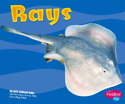 Image for Rays (Pebble Plus) Rays (Pebble Plus)