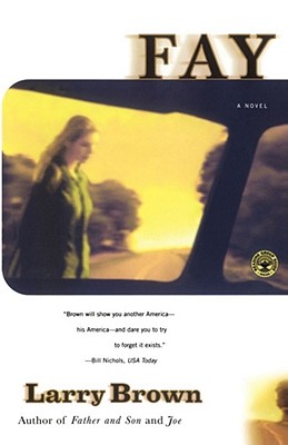 Fay: A Novel