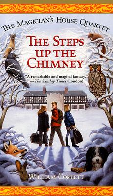 Image for Steps Up the Chimney