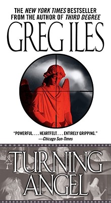 Turning Angel: A Novel