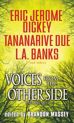 Voices From The Other Side (Dark Dreams)