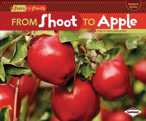 From Shoot to Apple (Start to Finish, Second Series)