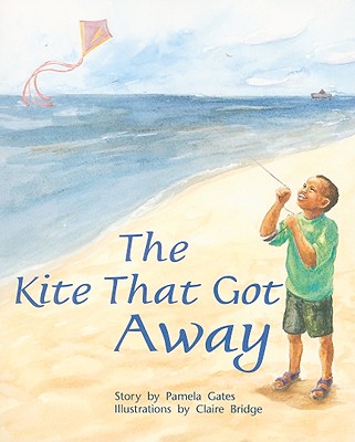 Rigby PM Plus: Individual Student Edition Orange (Levels 15-16) the Kite That Got Away