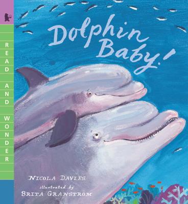 Image for Dolphin Baby! (Read and Wonder) Dolphin Baby! (Read and Wonder)