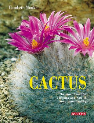 Image for Cactus: The most beautiful varieties and how to keep them healthy