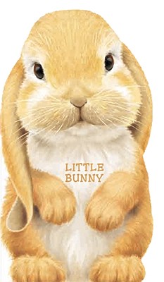 Image for Little Bunny (Look at Me Books) Little Bunny (Look at Me Books)