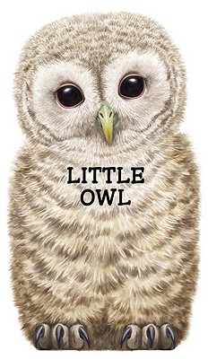 Little Owl (Look At Me Books)
