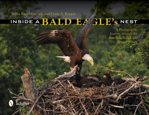 Image for Inside a Bald Eagle's Nest: A Photographic Journey Through the American Bald Eagle Nesting Season