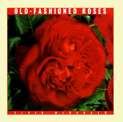 Old - Fashioned Roses