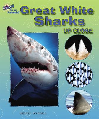 Image for Great White Sharks Up Close (Zoom in on Animals!) Great White Sharks Up Close (Zoom in on Animals!)