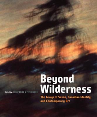 Beyond Wilderness: The Group of Seven, Canadian Identity, and Contemporary Art (Arts Insights Series)