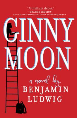 Ginny Moon: A Novel