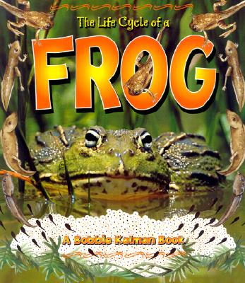 Image for THE LIFE CYCLE OF A FROG