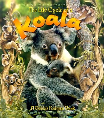 Koala (Life Cycle of A.(Paperback))