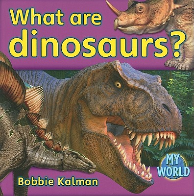 What Are Dinosaurs (My World - Grl G)