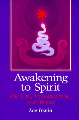 Awakening to Spirit: On Life, Illumination, and Being (Suny Series, Explorations in Contemporary Spirituality)
