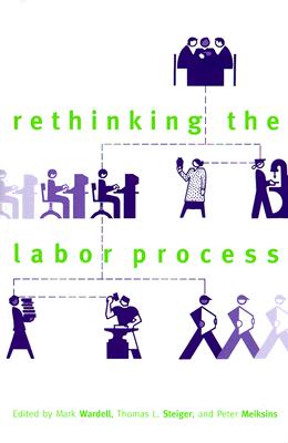 Rethinking the Labor Process (New Inequalities)