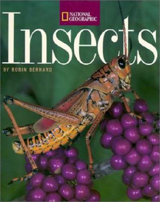 Insects; Insects